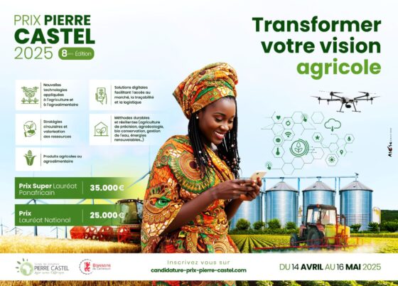 Appel à candidature dans le cadre du “Prix Pierre Castel 2025″dans les secteurs agriculture et agroalimentaire.